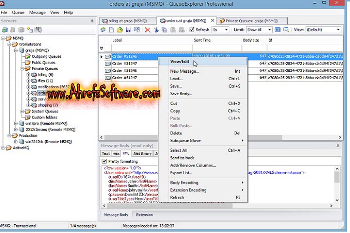Queue Explorer Professional : Version 5.0.44 (Software 2024) full version Queue Explorer Professional : Version 5.0.44 (Software 2024) full version