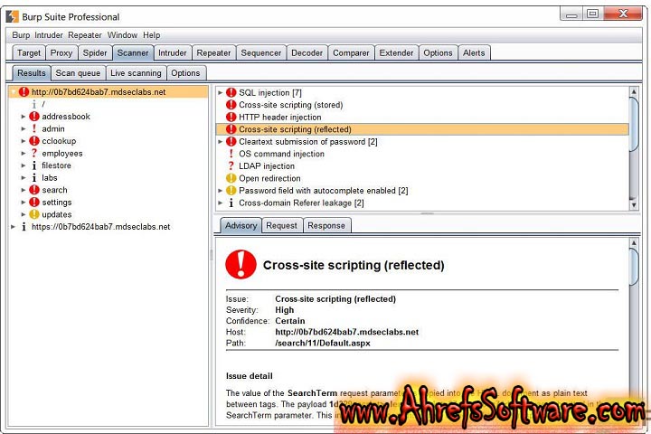 Burp Suite Professional : Version 2024.8.5 (Software 2024) for window Burp Suite Professional : Version 2024.8.5 (Software 2024) for window