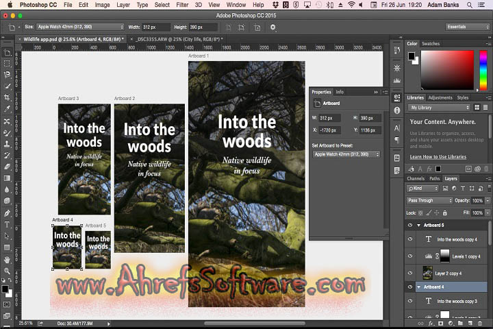Adobe Photoshop CC 2025 v19.1.7.16293 [Pc Software]