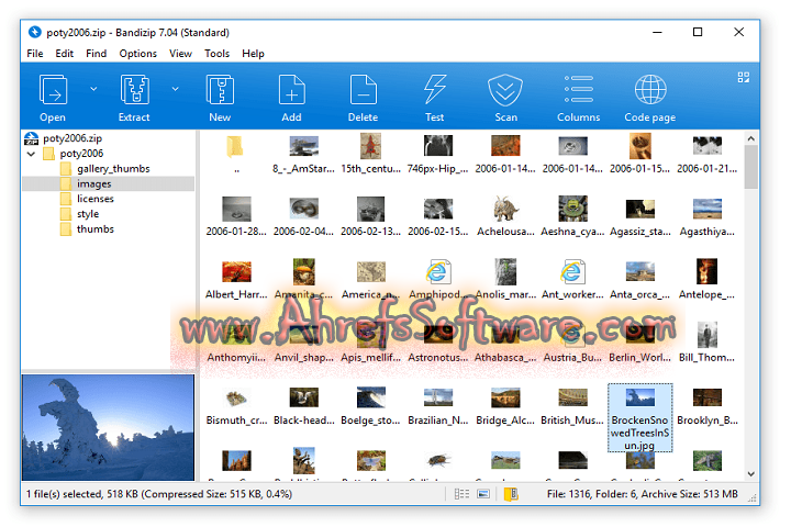 Bandizip Professional 2025 v7.40 [Pc Software]